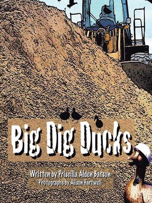 cover image of Big Dig Ducks